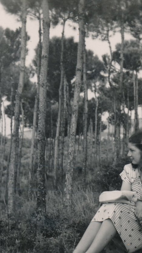 A woman sitting in a forest, surrounded by tall trees, reading a book in a striped dress.